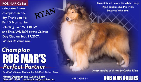 Rob Mar -- CH Rob Mar's Perfect Partner