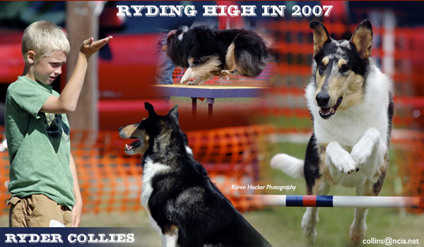 Ryder Collies