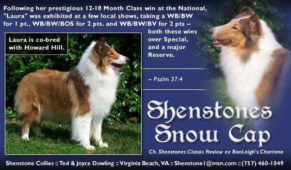 Shenstone -- Shenstones Snow Cap