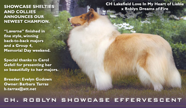 Showcase -- CH Roblyn Showcase Effervescent