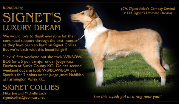 Signet -- Signet's Luxury Dream