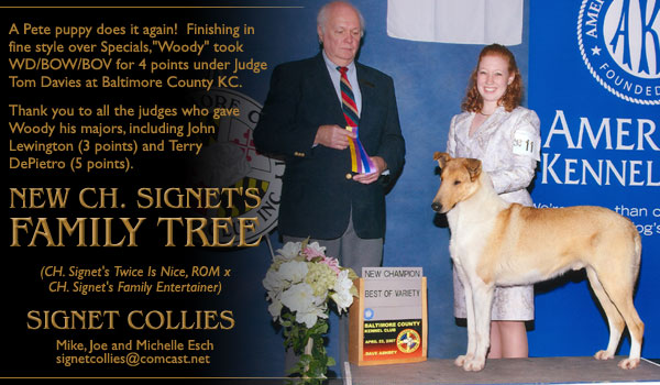 Signet -- CH Signet's Family Tree