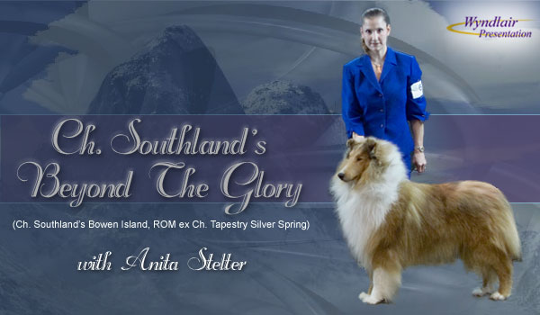 Southland -- CH Southland Beyond The Glory