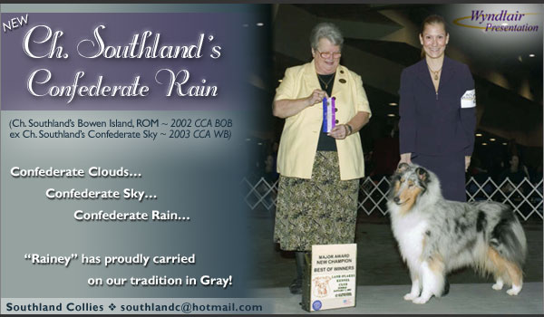 Southland -- CH Southland's Confederate Rain