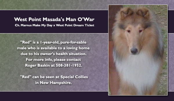 Westpoint Masada's Man O'War