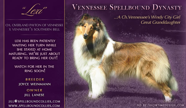 Spellbound -- Vennessee Spellbound Dynasty