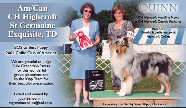 AM/CAN CH Wyndlair St Germaine Mystique CDX, TD, PT, RE, CAN CDX