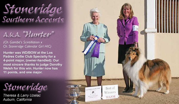 Stoneridge -- Stoneridge Southern Accents