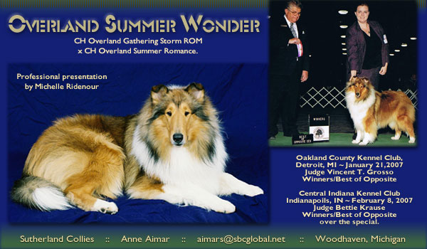 Sutherland -- Overland Summer Wonder