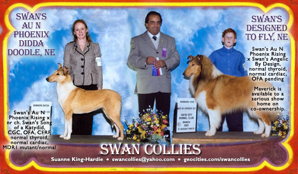 Swan -- Swan's Au N Phoenix Rising