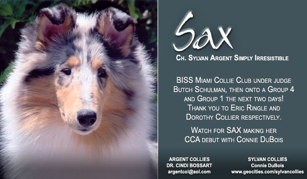 CH Sylvan Argent Simply Irresistible