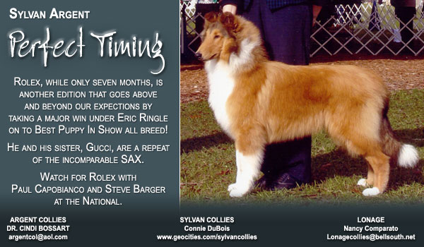 Sylvan Argent Perfect Timing