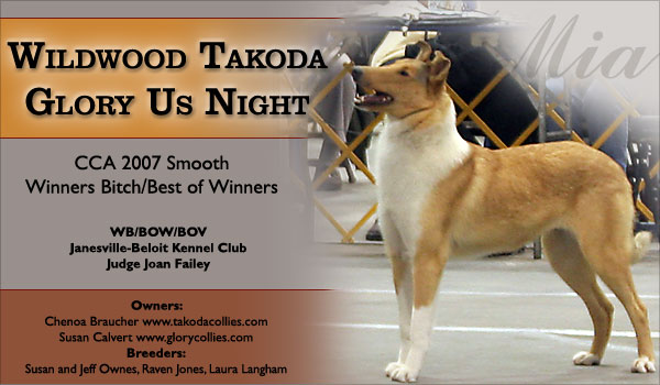 Takoda -- Wildwood Takoda Glory Us Night