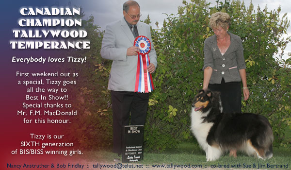 Tallywood -- Canadian CH Tallywood Temperance