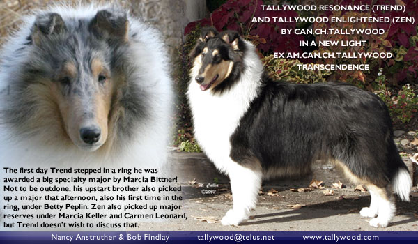 Tallywood -- Tallywood Resonance and Tallywood Enlightenedl