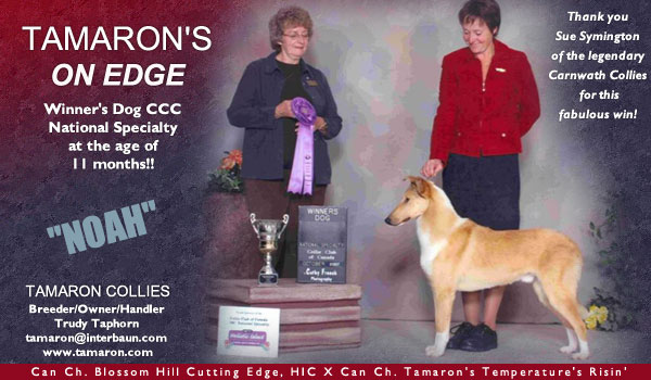 Tamaron -- Tamaron's On Edge