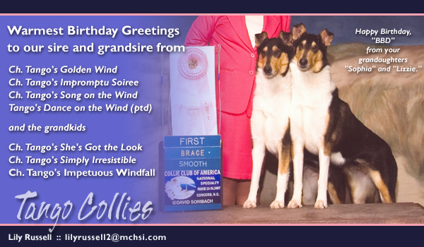 Tango Collies