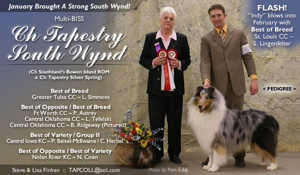 Tapestry -- CH Tapestry South Wynd