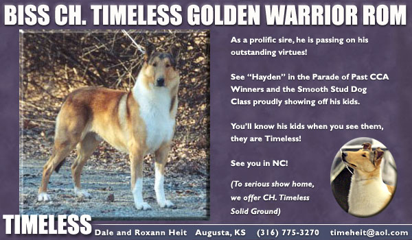 Timeless -- CH Timeless Golden Warrior, ROM