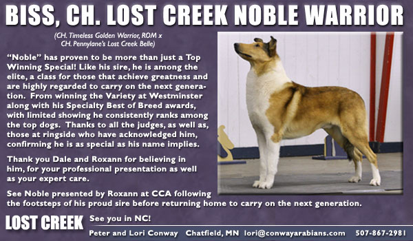 Lost Creek -- CH Lost Creek Noble Warrior