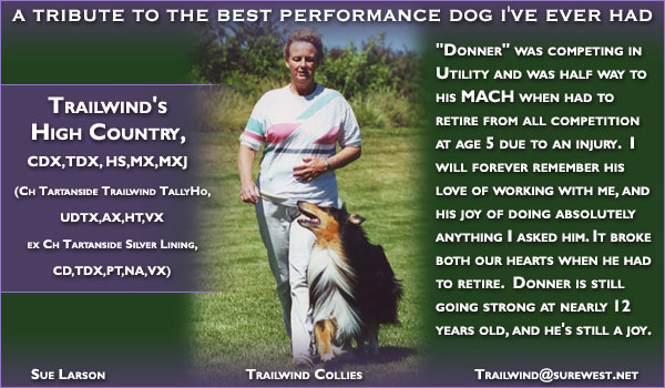 Trailwind Collies -- Trailwind's High Country, CDX, TDX, HS, MX, MXJ