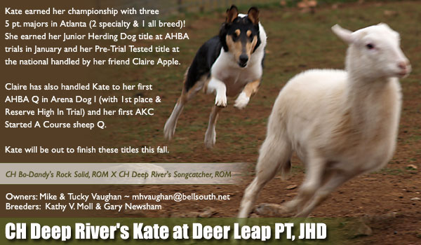 CH Deep River's Kate at Deer Leap PT, JHD