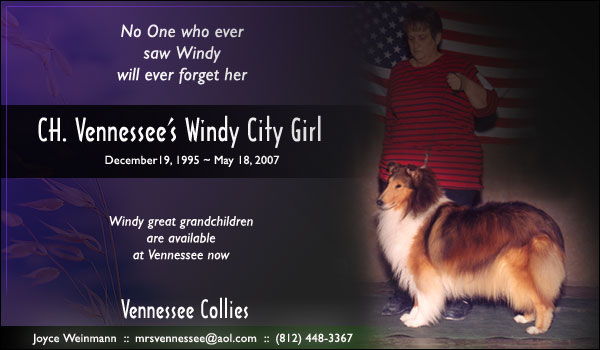 Vennessee -- CH Vennesee's Windy City Girl