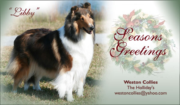 Weston Collies