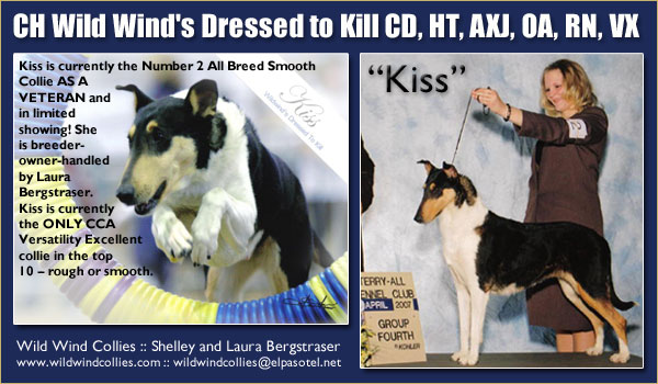 Wild Wind -- CH Wild Wind's Dressed to Kill CD,HT,OA,AXJ,RN,VX