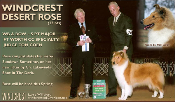 Windcrest -- Windcrest Desert Rose