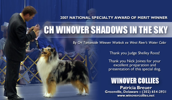 Winover -- CH Winover Shadows In The Sky