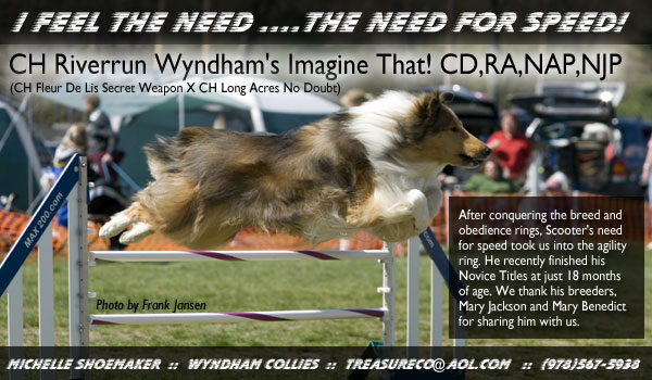 Wyndham -- CH Riverrun Wyndham's Imagine That! CD, RA,NAP, NJP