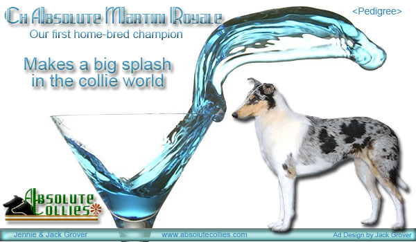 Absolute -- CH Absolute Martini Royale