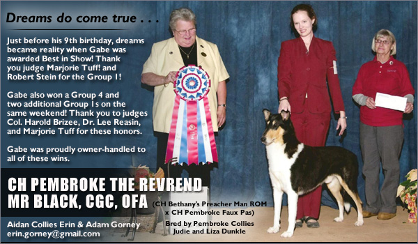 Aidan -- CH Pembroke The Revrend Mr Black CGC, OFA
