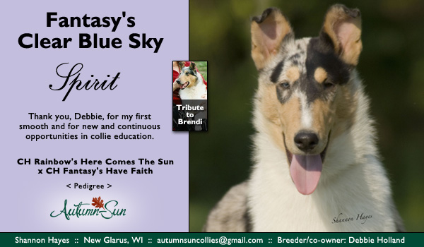 Autumn-Sun -- Fantasy's Clear Blue Sky