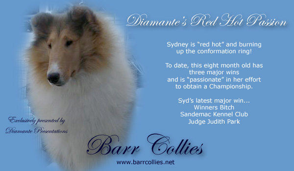 Barr -- Diamante's Red Hot Passion