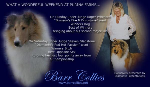 Barr -- Bronson's Fire N Brimstone and Diamante's Red Hot Passion