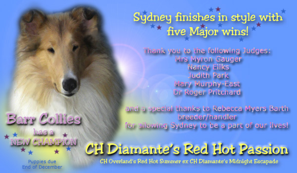 Barr -- CH Diamante's Red Hot Passion