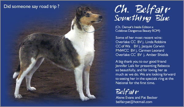 Belfair -- CH Belfair Something Blue