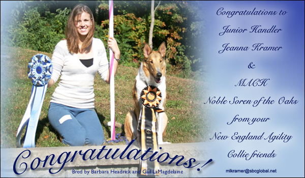 New England Agility Collie Friends --Congratulations to Jeanna Kramer and MACH Noble Soren Of The Oaks