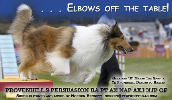 Noreen Bennett --Provenhill's Persuasion  RA PT AX NAP AXJ NJP OF