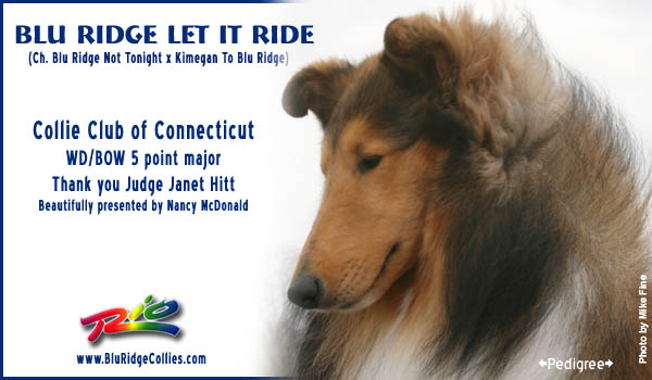 Blu Ridge -- Blu Ridge Let It Ride