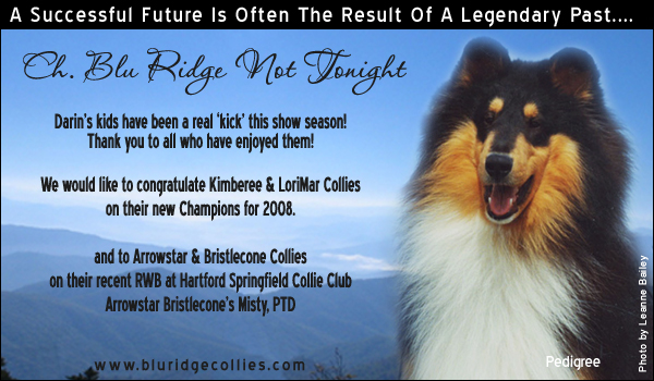 Blu Ridge -- CH Blu Ridge Not Tonight
