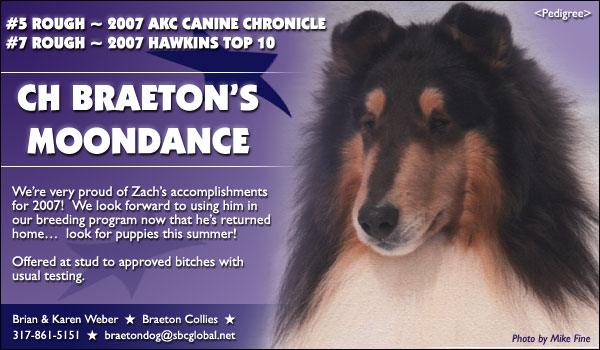 Braeton -- CH Braeton's Moondance