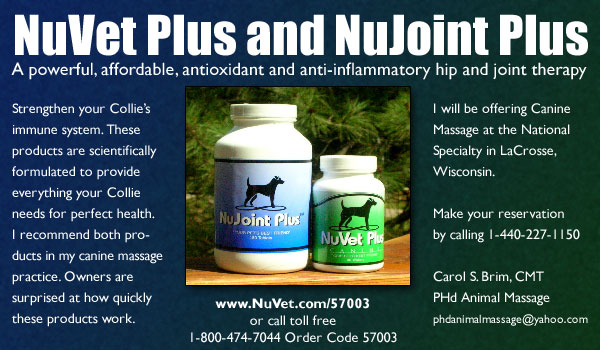 Strengthen your Collie's immune system with NuVet Plus and NuJoint Plus