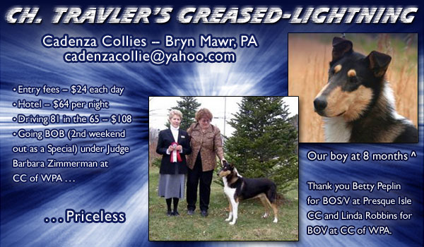 Cadenza -- CH Travler's Greased-Lightning