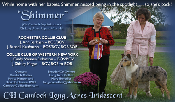 Camloch -- CH Camloch Long Acres Iridescent