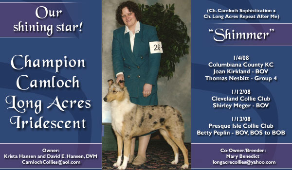 Camloch -- CH Camloch Long Acres Iridescent