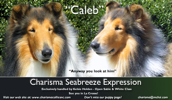 Charisma -- Charisma Seabreeze Expression