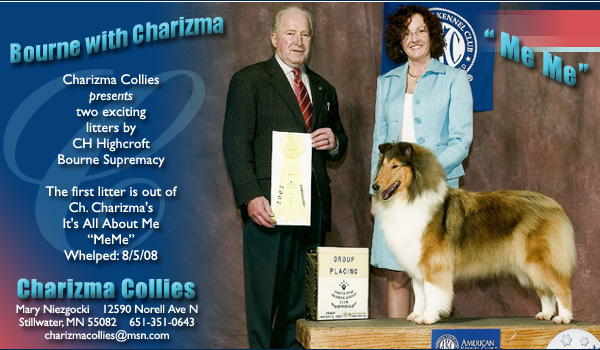Charizma Collies